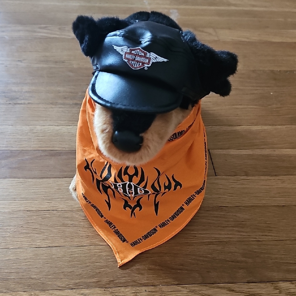 Harley Davidson Pet Size XS Hat & Orange Harley Bandana